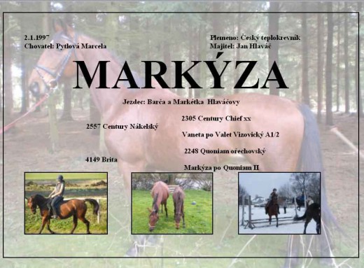 markyza-t.jpg