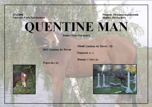 quentine-man-t.jpg